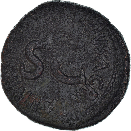 kovanec,
Avgust,
Kot